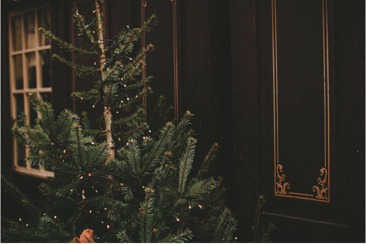 The King of Christmas: Embracing Fake Christmas Trees