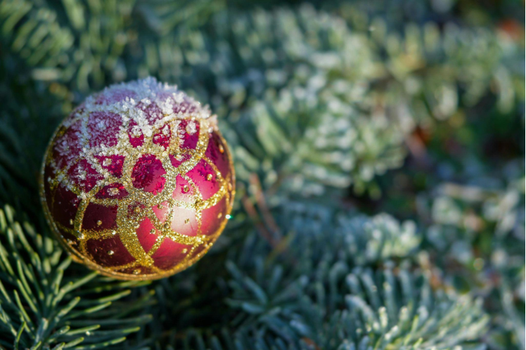 Artificial Christmas Trees This Holiday Season