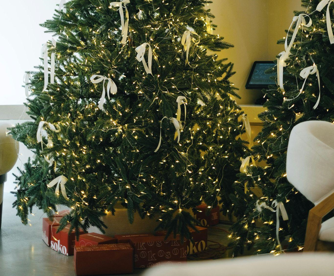 Choosing the Perfect Christmas Tree for an 8-Foot Ceiling